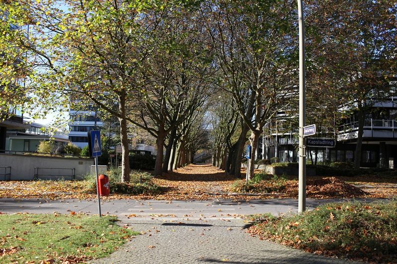 File:WegRKamp4 1773.JPG