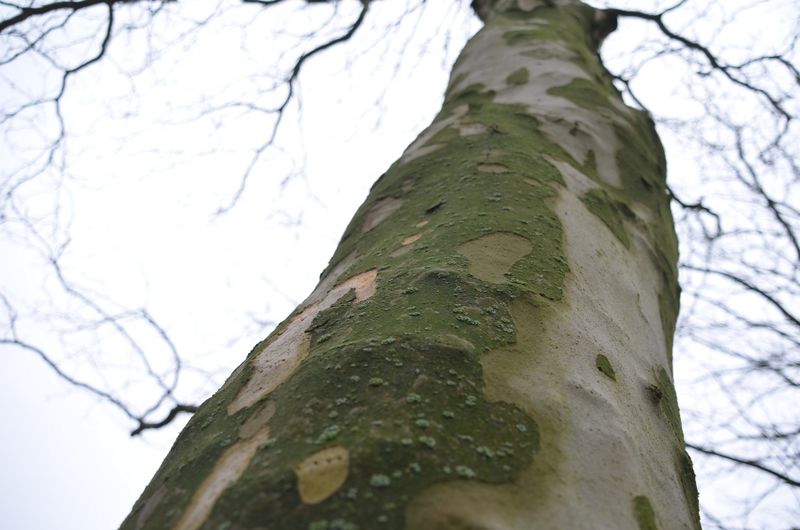 File:FotoWorkshop3-Clara-DSC 0031.JPG