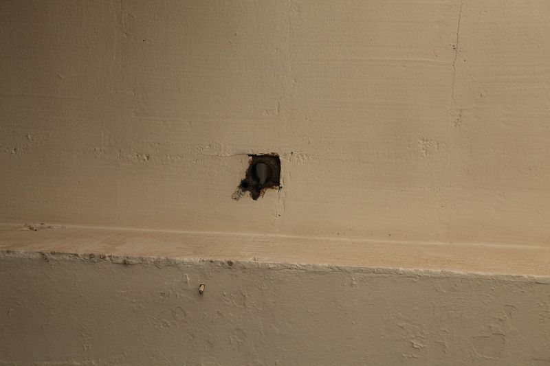 File:Denhaide-CK-IMG 9336.JPG