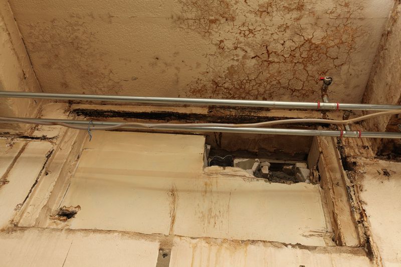 File:Denhaide-CK-IMG 9337.JPG