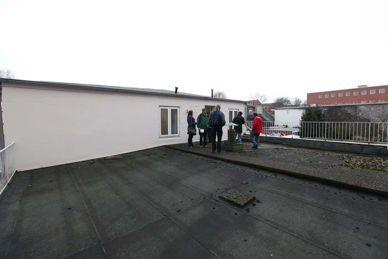 File:Denhaide-CK-Denhaide-CK-IMG 9308.jpg