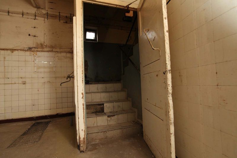 File:Denhaide-CK-Denhaide-CK-IMG 9285.jpg