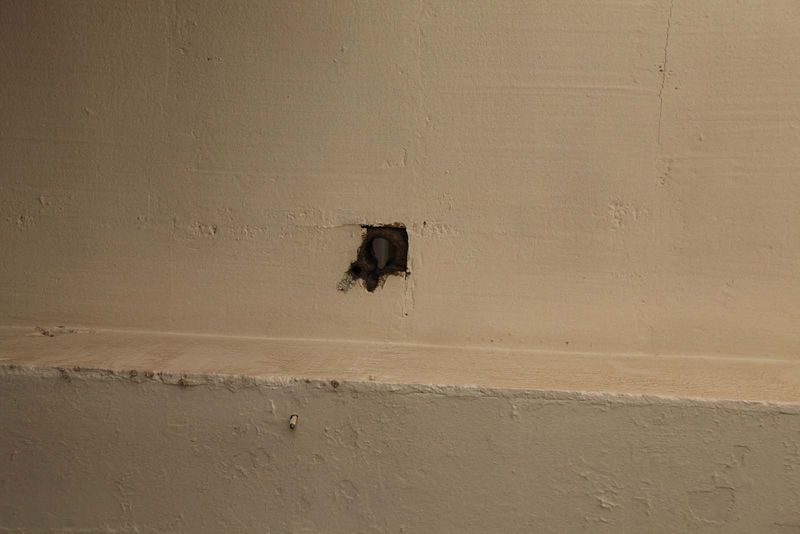 File:Denhaide-CK-IMG 9336.jpg