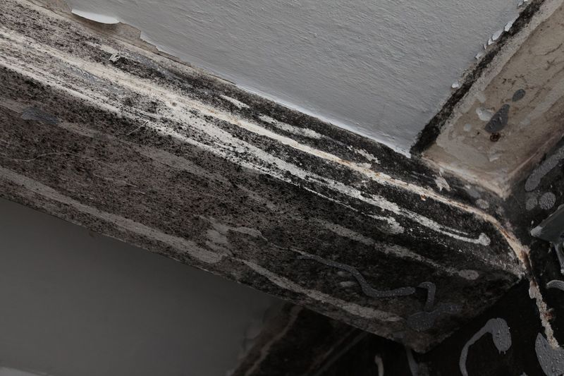 File:Denhaide-CK-IMG 9295.JPG