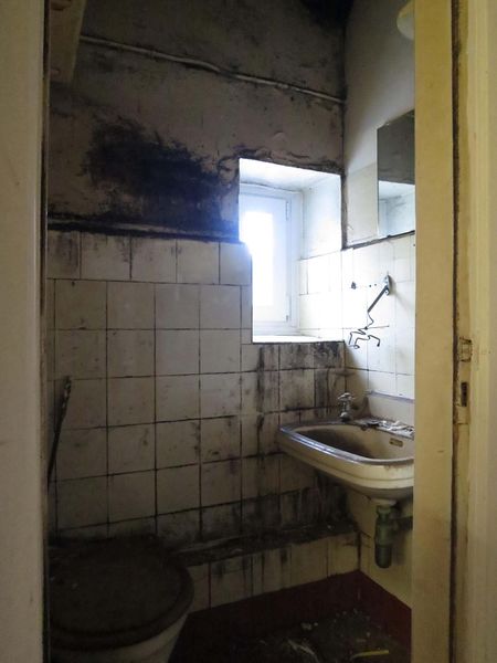 File:Denhaide-CK-IMG 2960.jpg