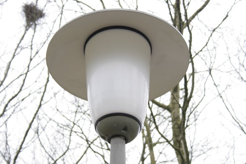 File:FotoWorkshop3-Emma-IMG 7777.JPG