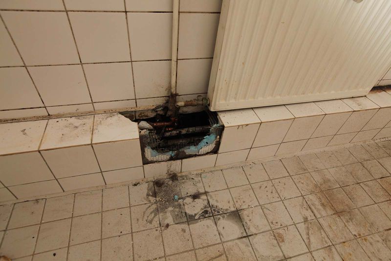 File:Denhaide-CK-IMG 9311.jpg