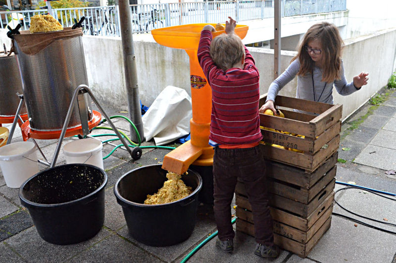 File:HMT1-AS 0982.jpg