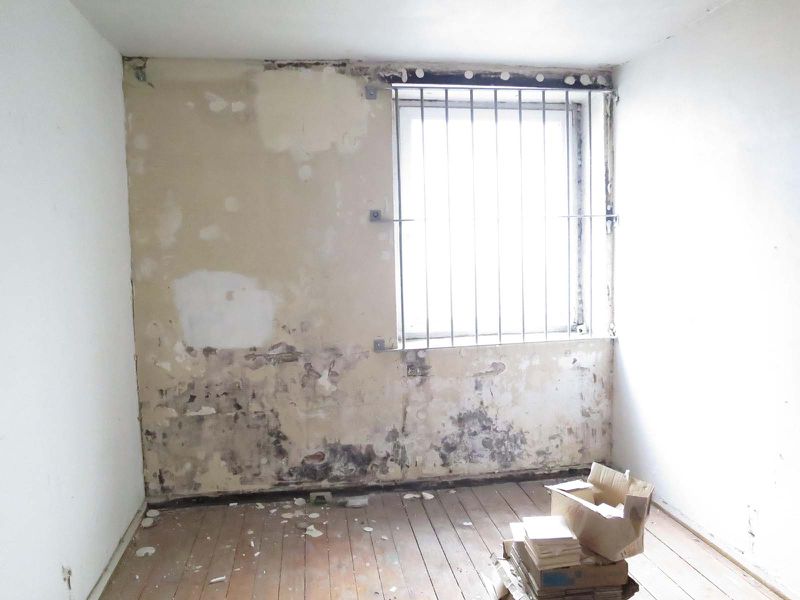 File:Denhaide-CK-IMG 2963.jpg