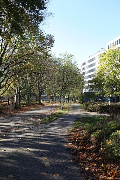 File:WegRKamp3 1771.JPG