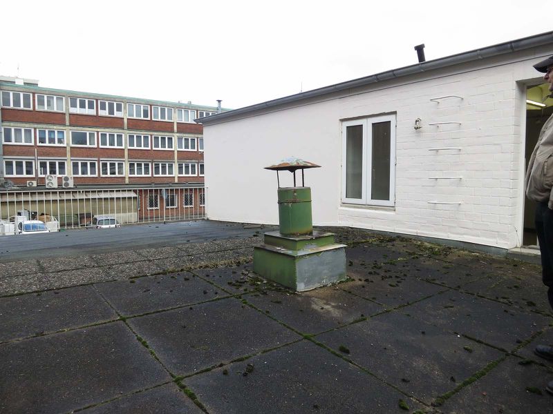 File:Denhaide-CK-IMG 2958.jpg