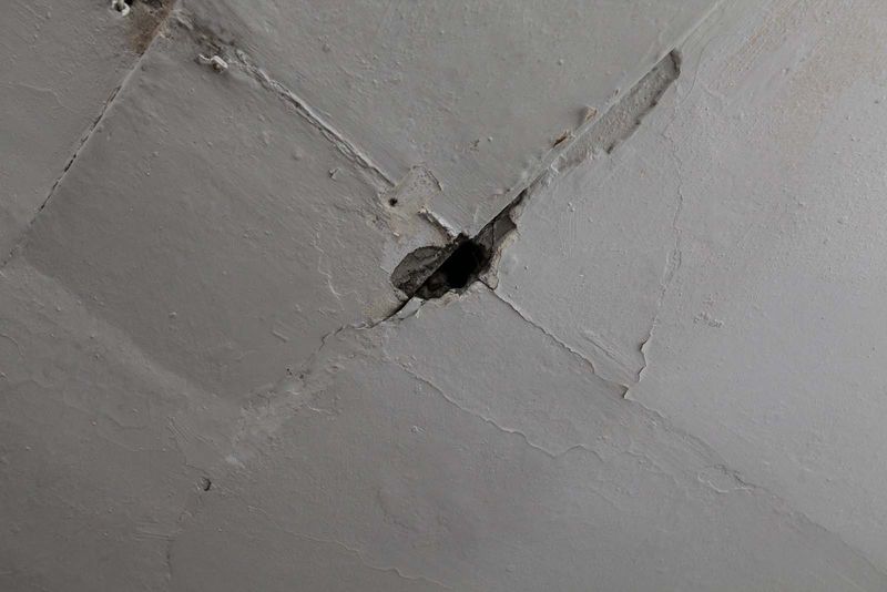 File:Denhaide-CK-Denhaide-CK-IMG 9299.jpg