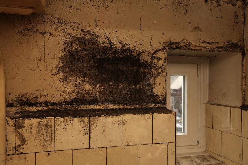 File:Denhaide-CK-IMG 9300.JPG