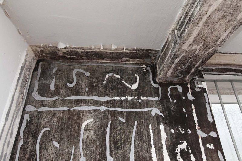 File:Denhaide-CK-Denhaide-CK-IMG 9297.jpg