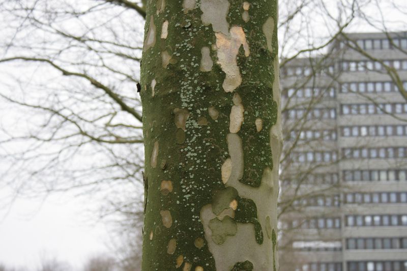 File:FotoWorkshop3-Emma-IMG 7790.JPG