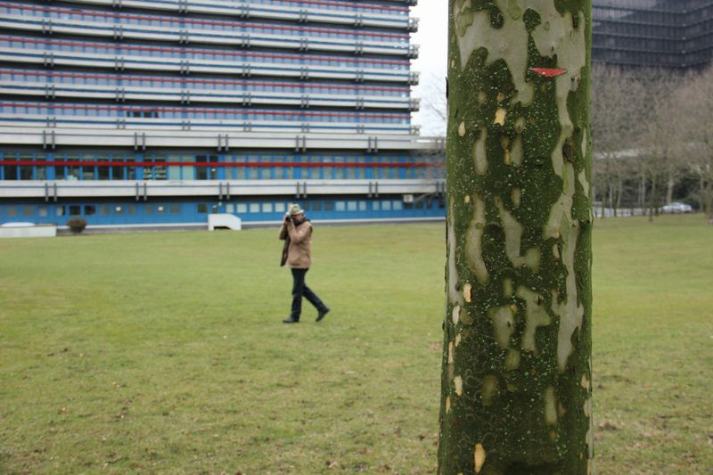 File:FotoWorkshop3-Franca-IMG 4679.JPG