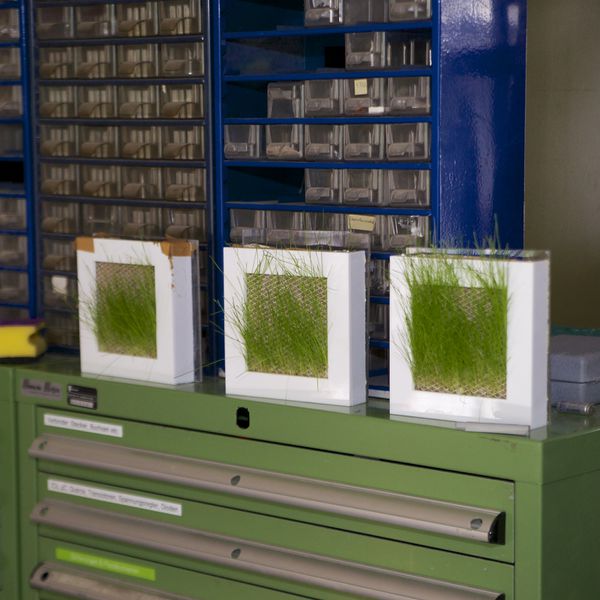 File:Workshop-20130706 (18).jpg