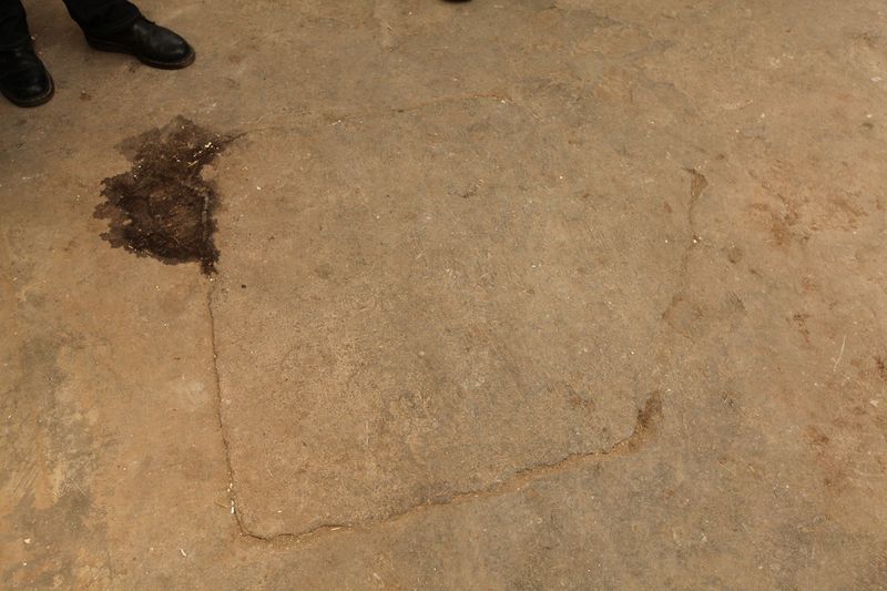 File:Denhaide-CK-IMG 9301.JPG