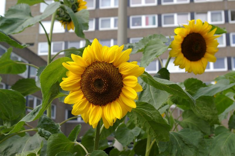 File:FotoWorkshop1 8331.jpg