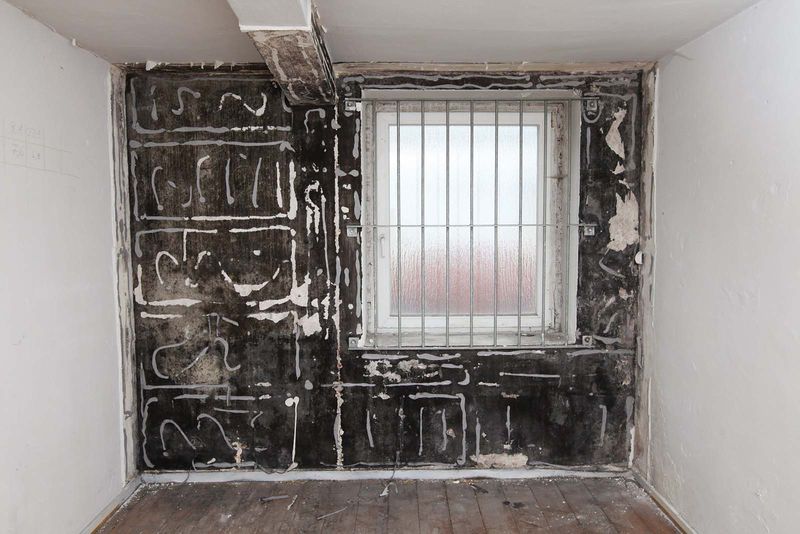 File:Denhaide-CK-Denhaide-CK-IMG 9296.jpg