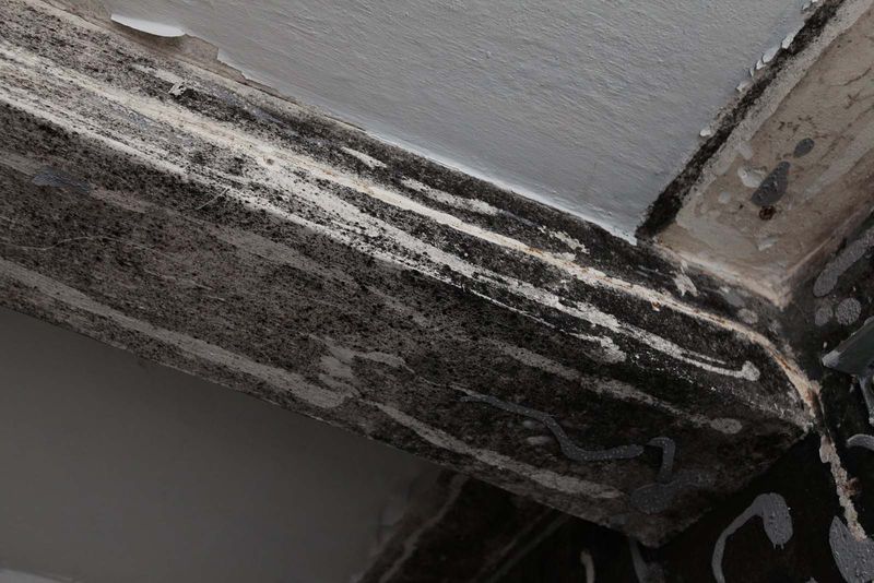 File:Denhaide-CK-Denhaide-CK-IMG 9295.jpg