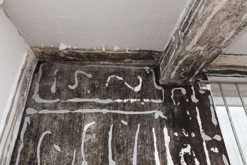 File:Denhaide-CK-IMG 9297.JPG