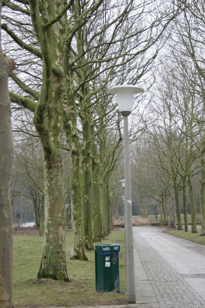 File:FotoWorkshop3-Emma-IMG 7798.JPG