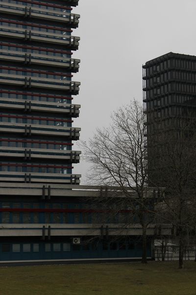 File:FotoWorkshop3-Henning-IMG 0201.JPG