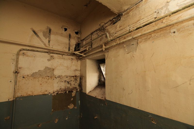 File:Denhaide-CK-IMG 9331.JPG