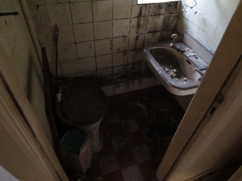 File:Denhaide-CK-IMG 2961.jpg