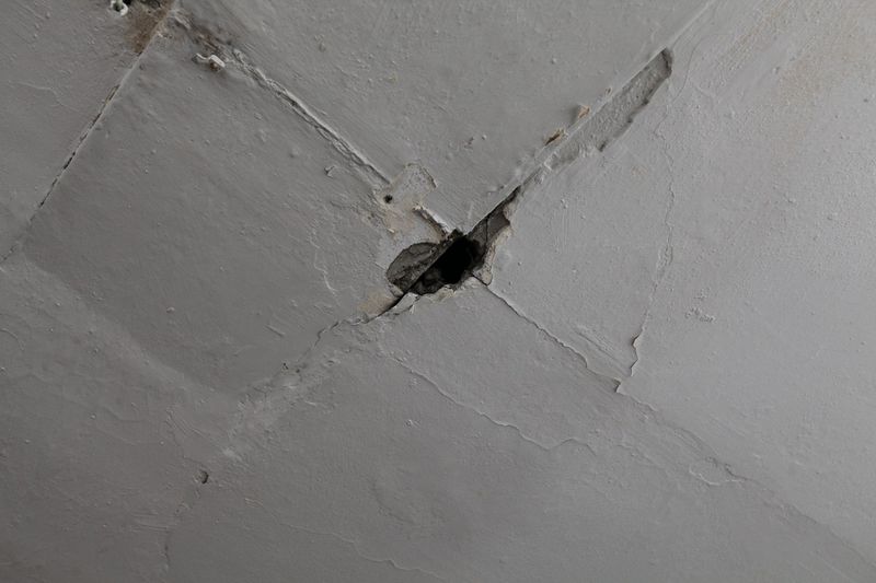 File:Denhaide-CK-IMG 9299.JPG