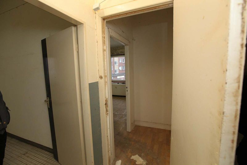 File:Denhaide-CK-Denhaide-CK-IMG 9317.jpg