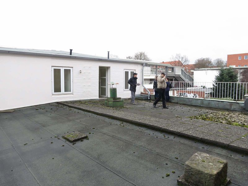 File:Denhaide-CK-IMG 2955.jpg