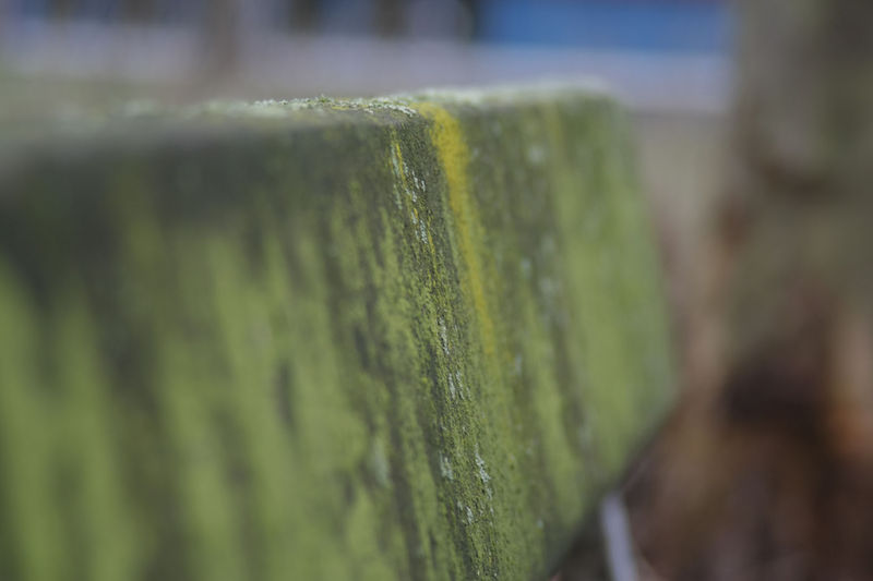 File:FotoWorkshop3-Sascha-IMG 0297.jpg