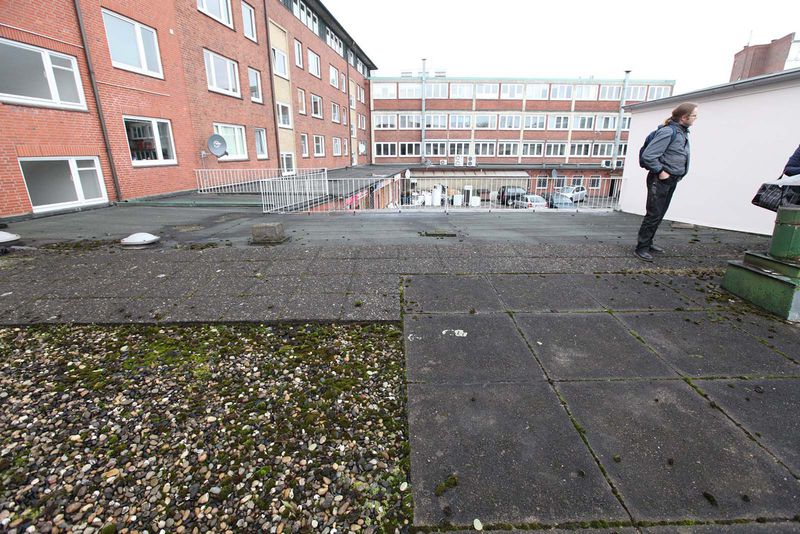 File:Denhaide-CK-Denhaide-CK-IMG 9309.jpg