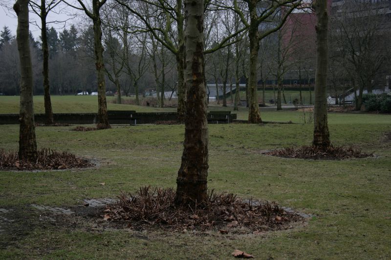 File:FotoWorkshop3-Emma-IMG 7769.JPG