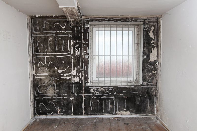 File:Denhaide-CK-IMG 9296.JPG